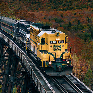 train
